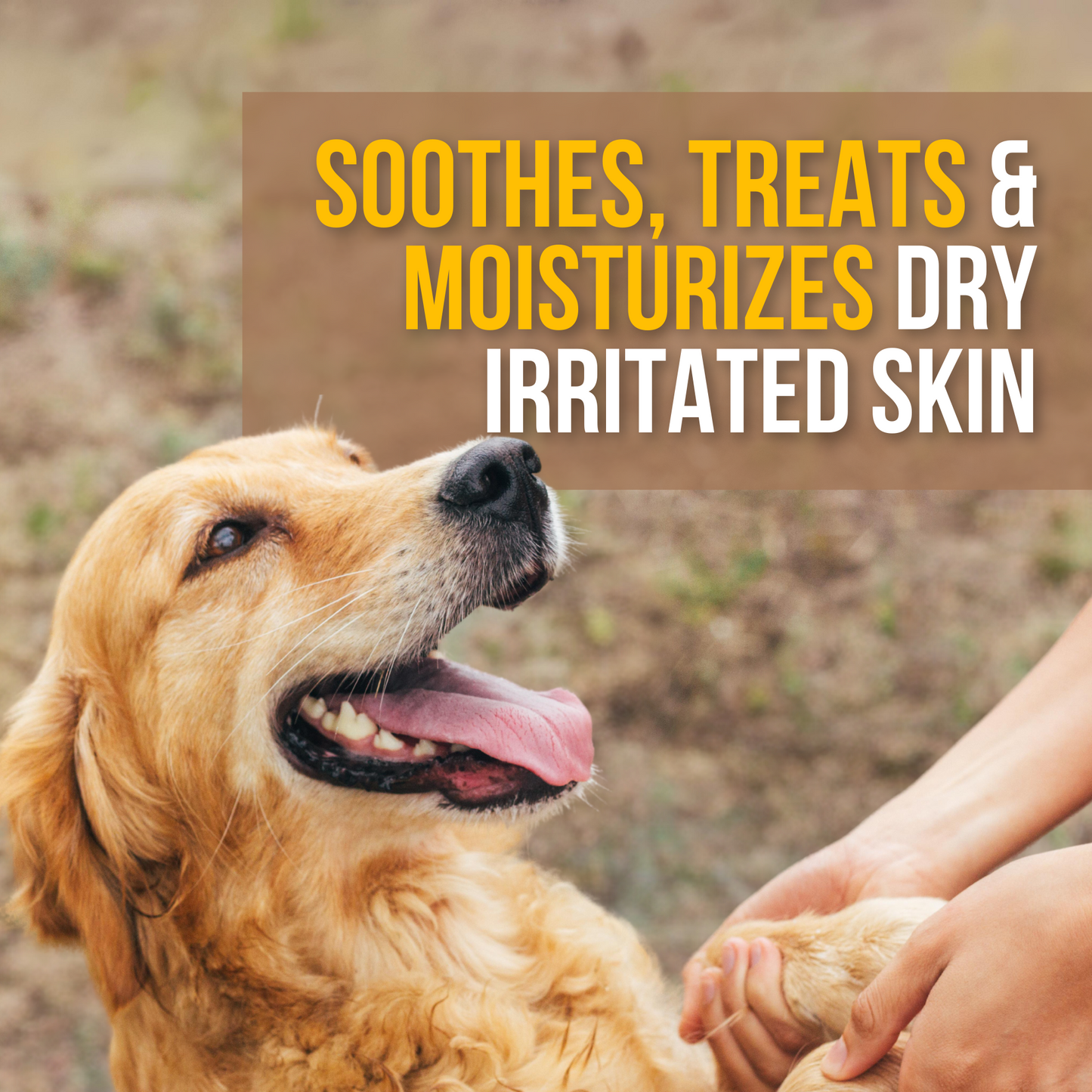 Deep Nourishing Shampoo