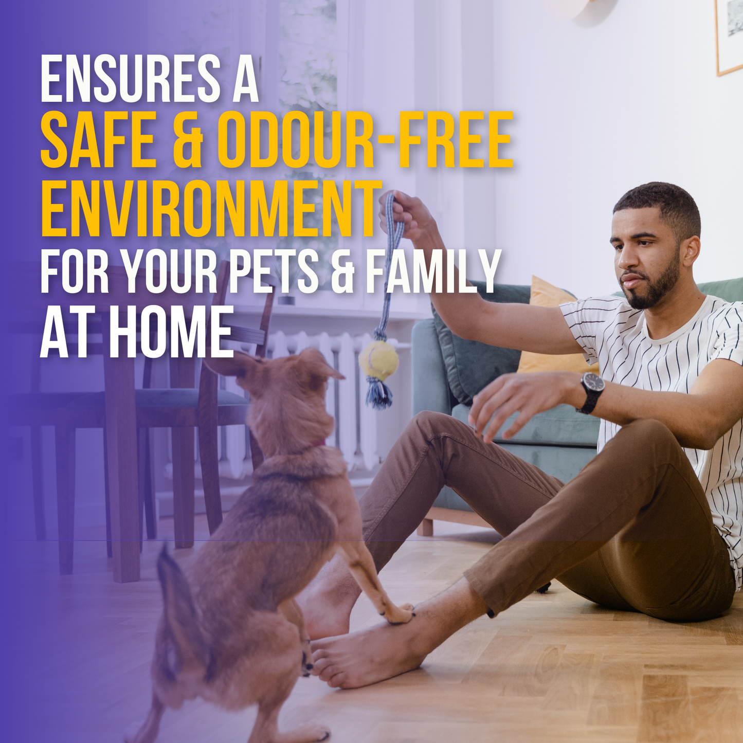 All-purpose Kennel Wash - Blueberry