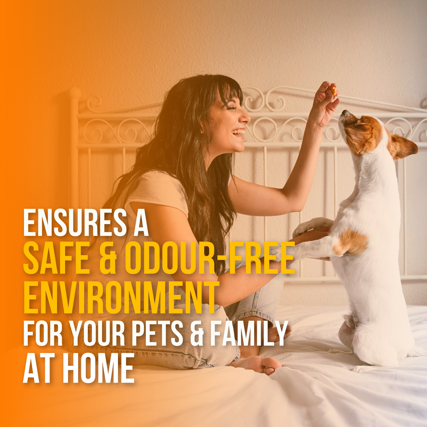 All-purpose Kennel Wash - Orange