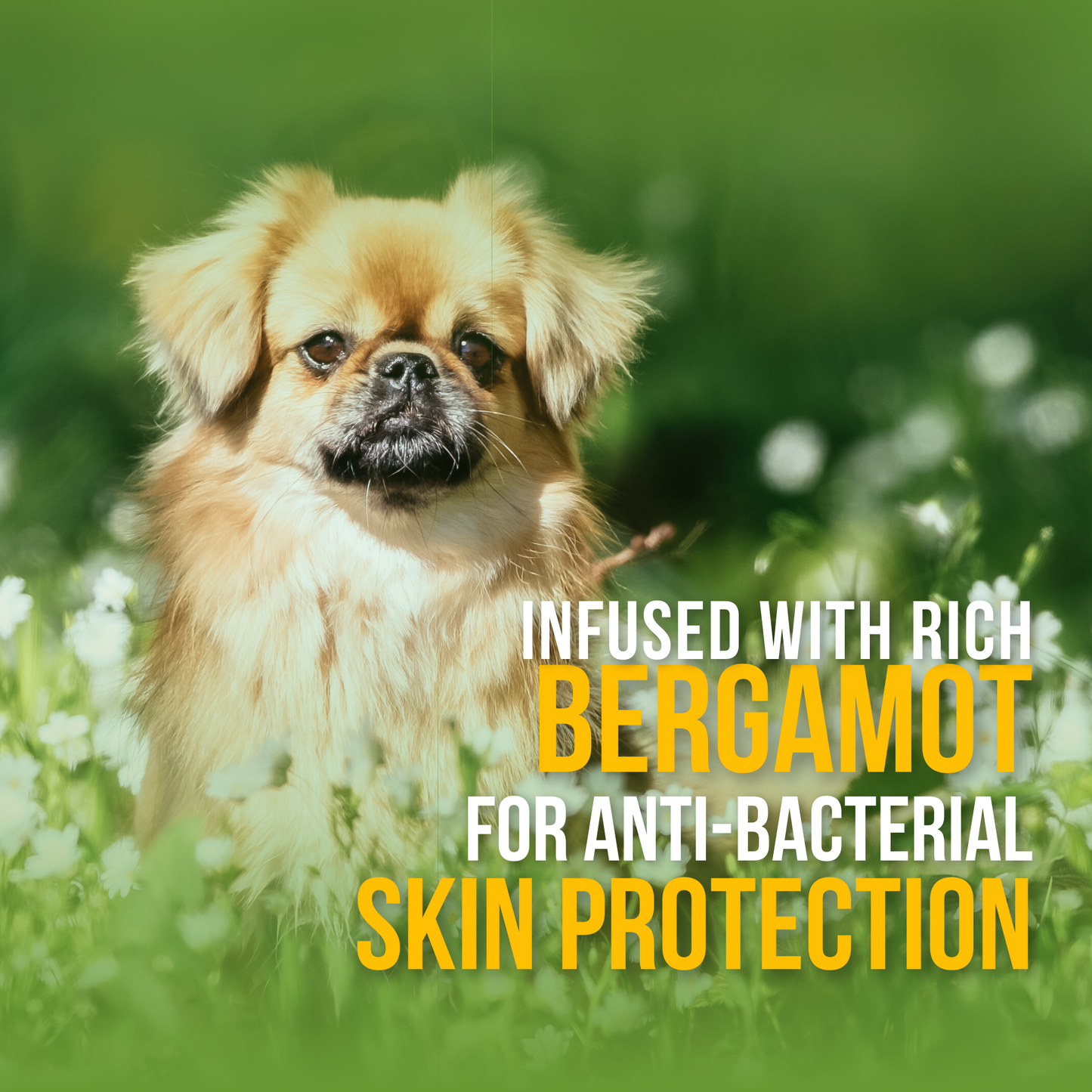 Odour Control Spray - Lime & Bergamot