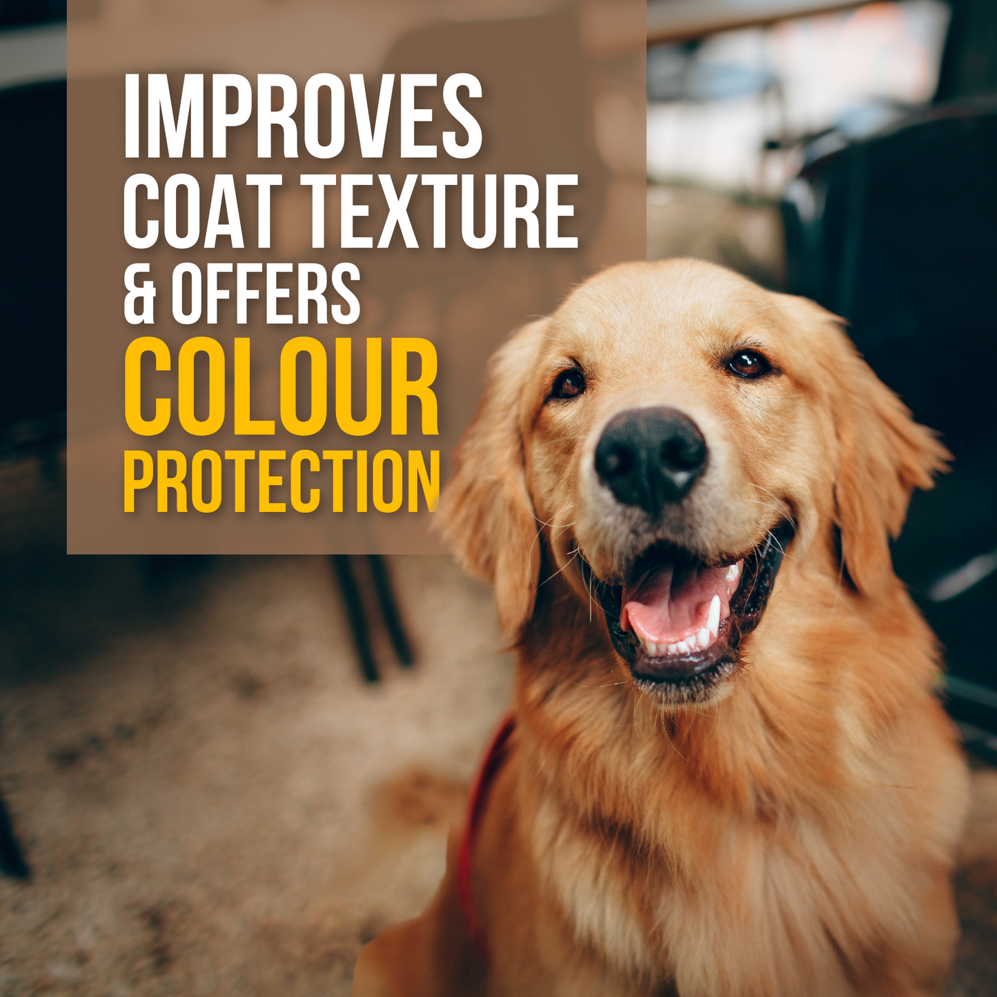 Deep Nourishing Shampoo