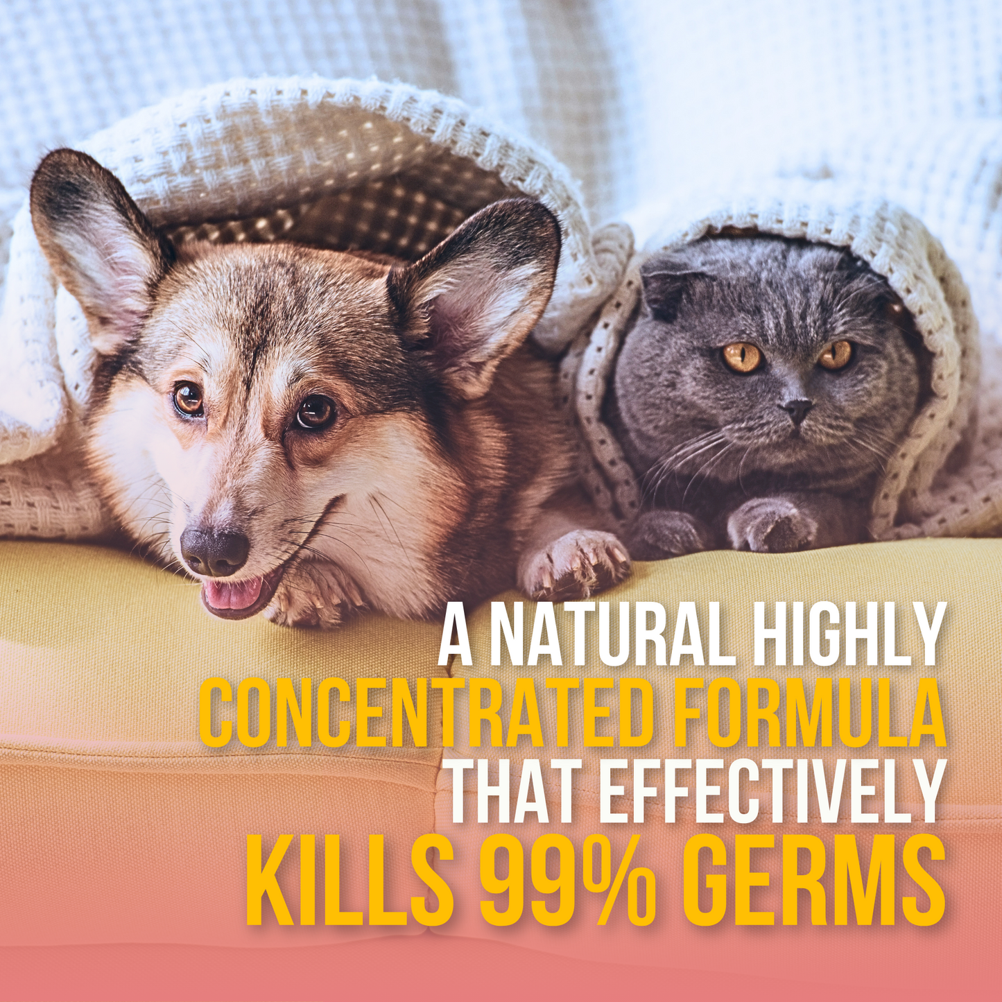 All-purpose Kennel Wash - Strawberry