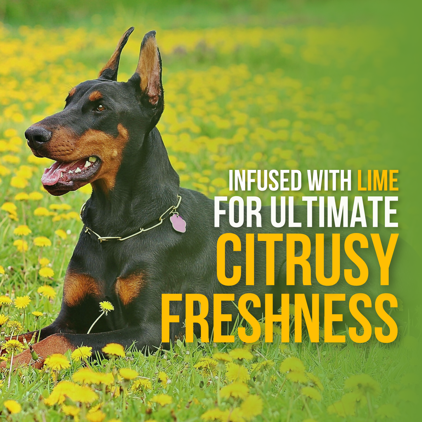 Odour Control Spray - Lime & Bergamot