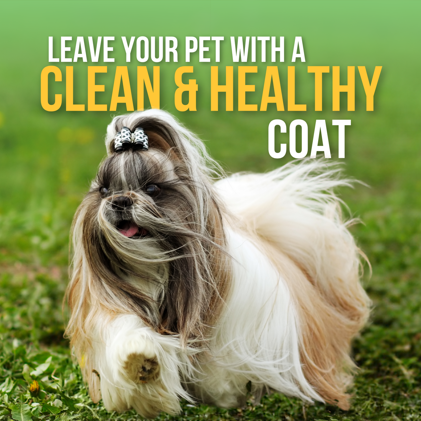 Anti bacterial Shampoo