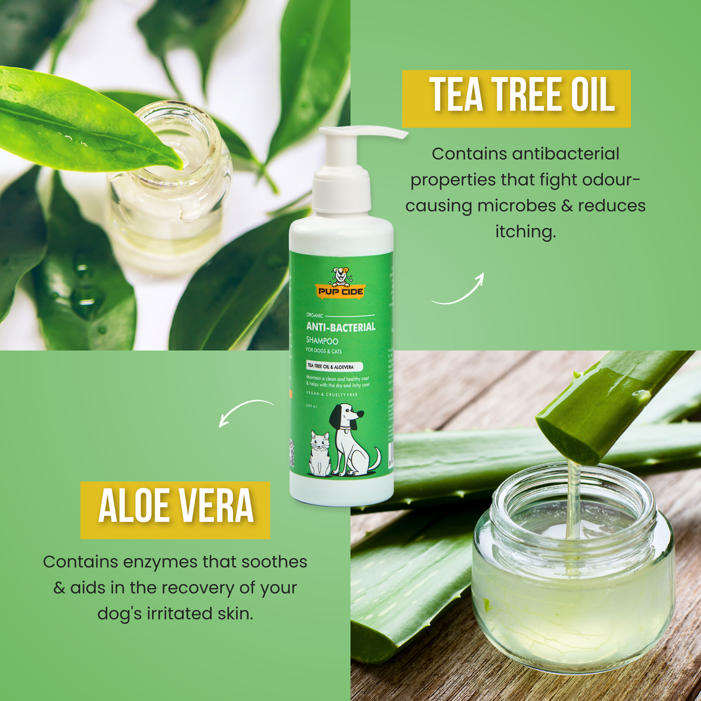 Anti bacterial Shampoo