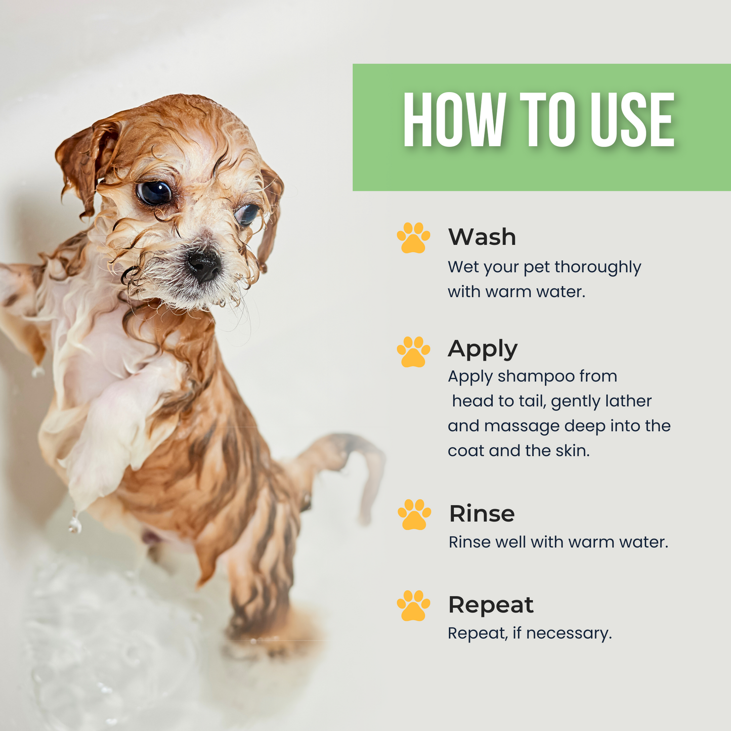 Anti bacterial Shampoo