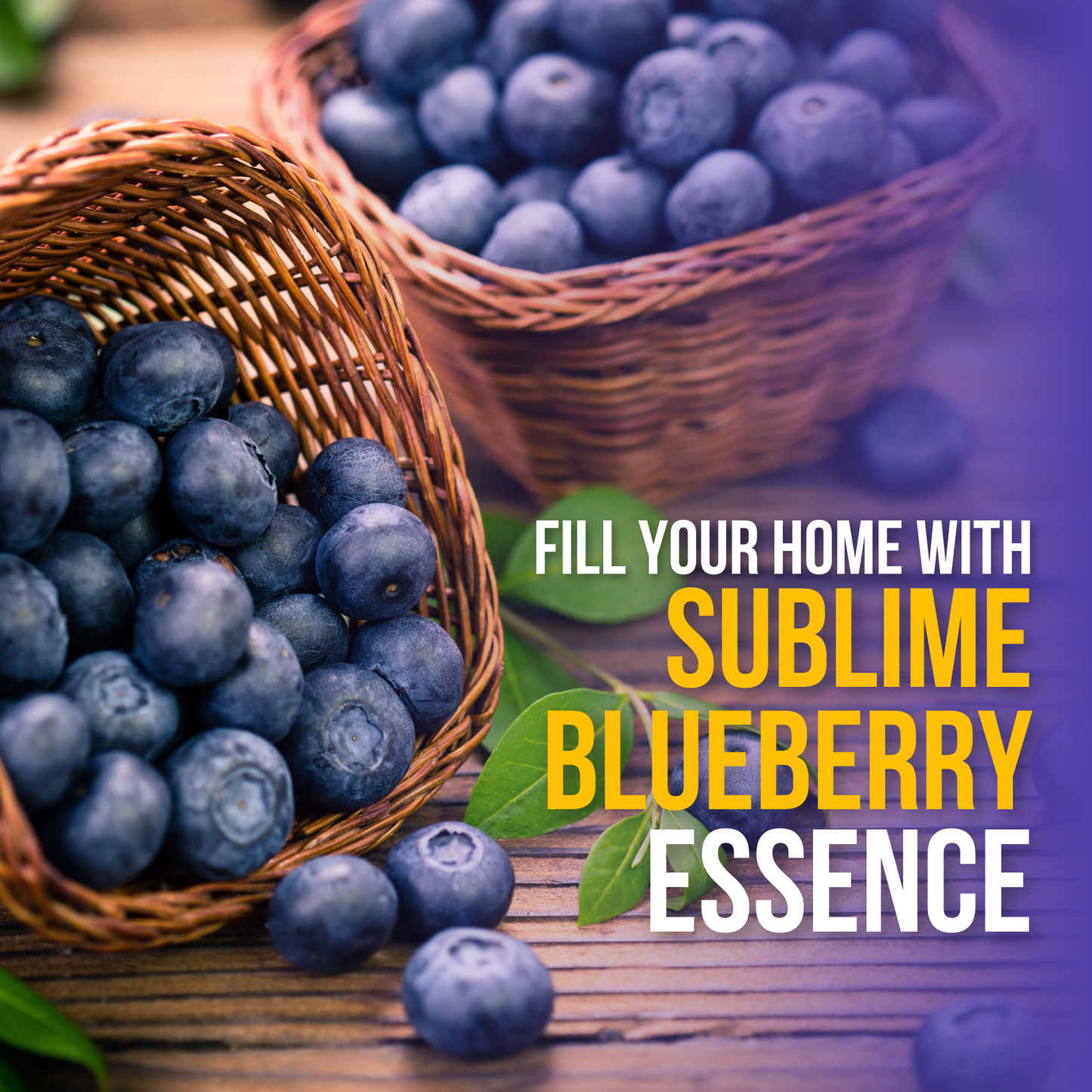 All-purpose Kennel Wash - Blueberry