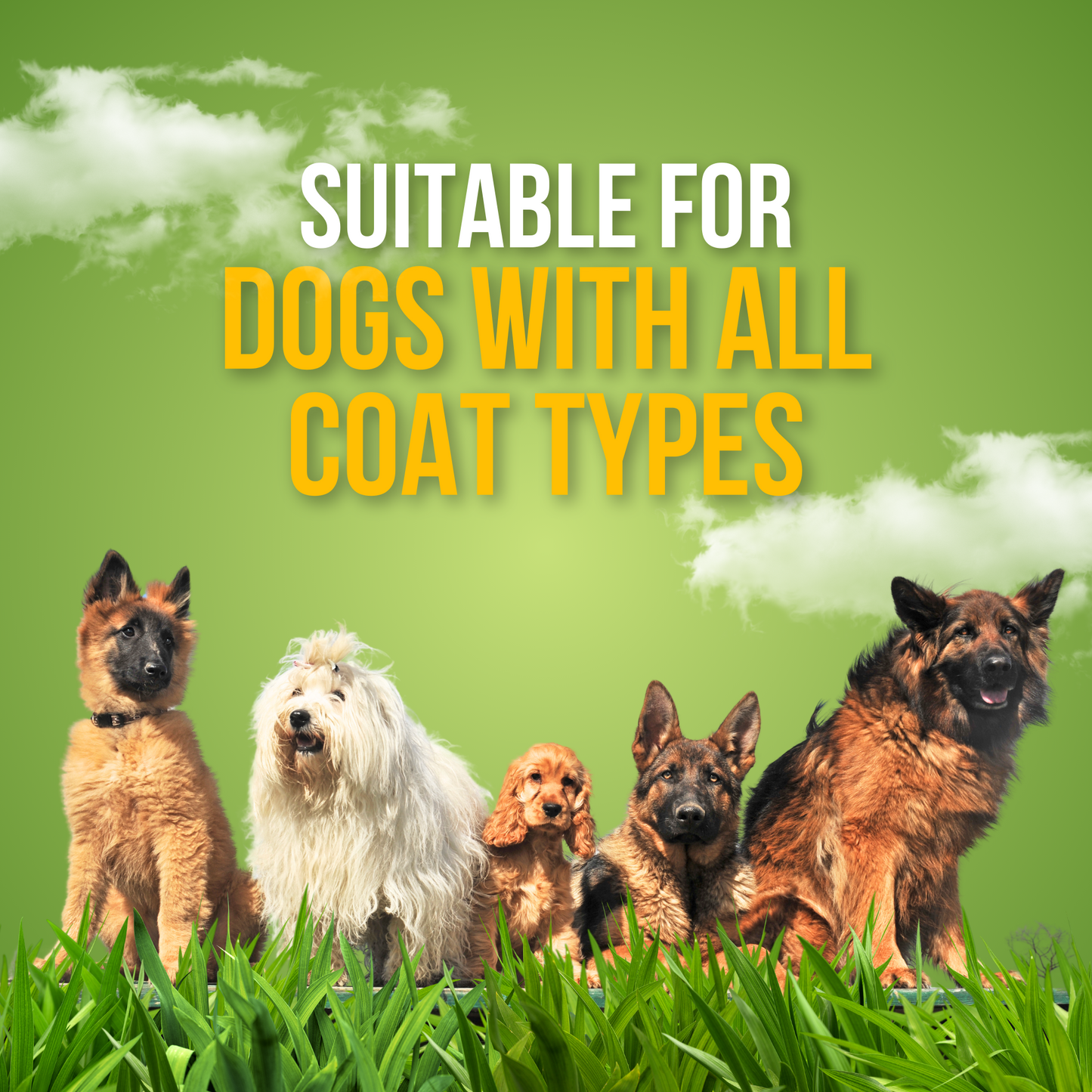 Odour Control Spray - Lime & Bergamot