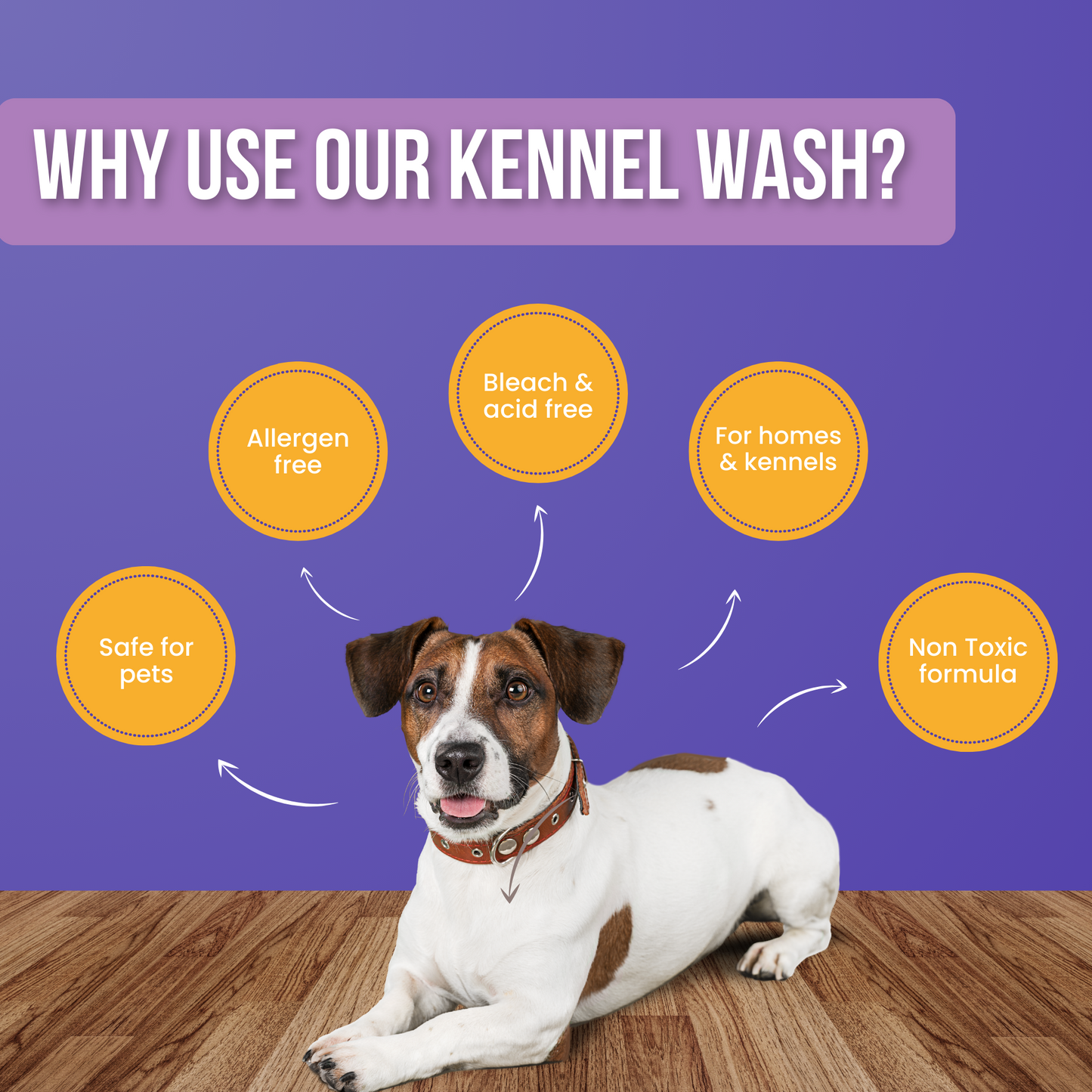 All-purpose Kennel Wash - Blueberry