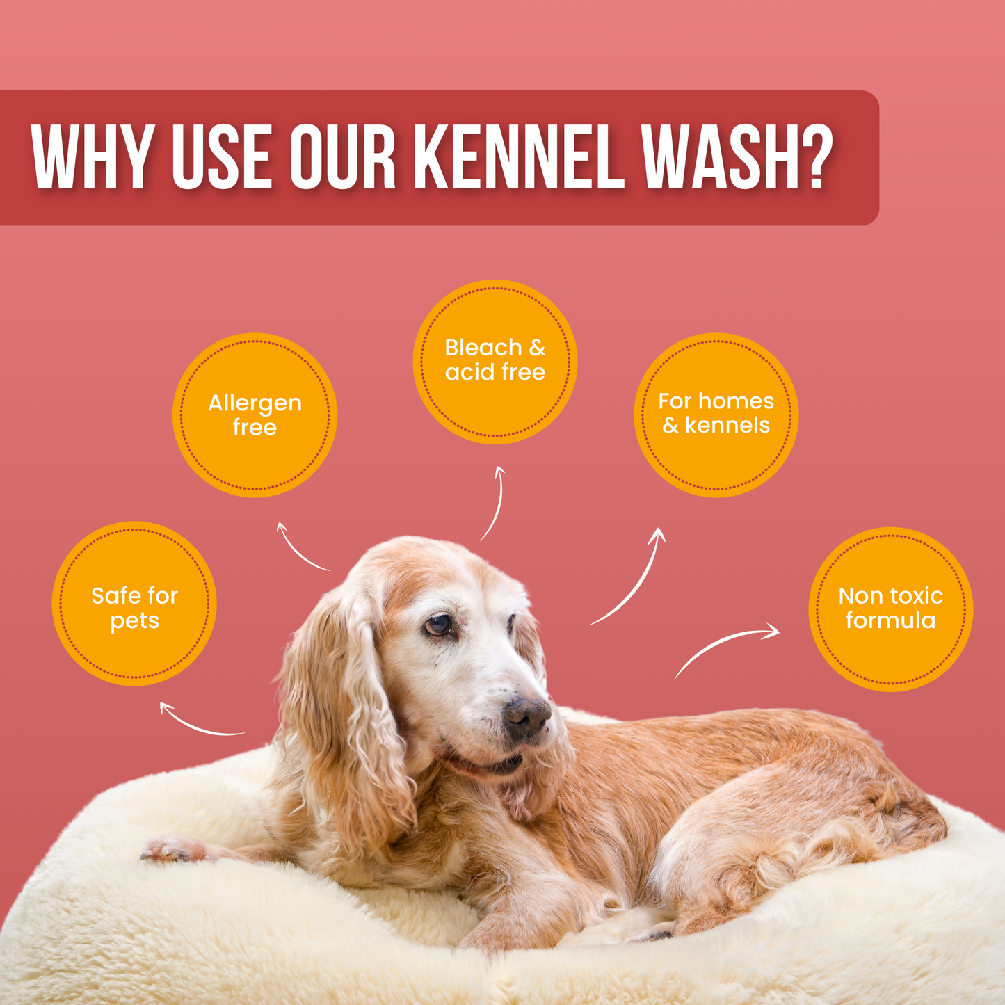 All-purpose Kennel Wash - Strawberry