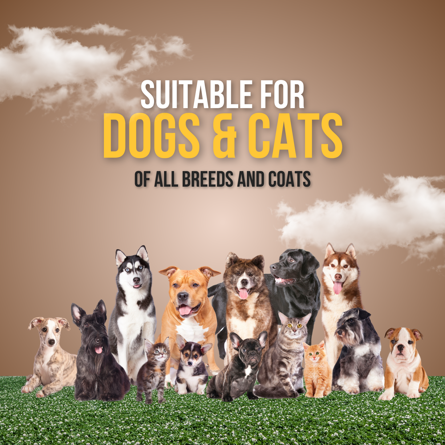 Deep Nourishing Shampoo