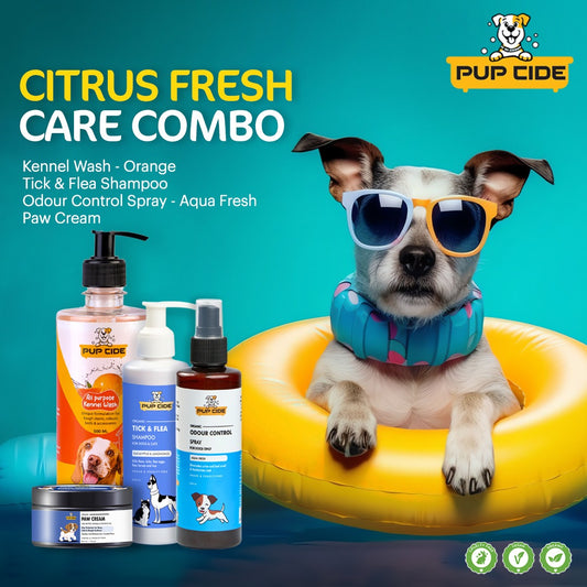 Citrus Fresh Care Combo