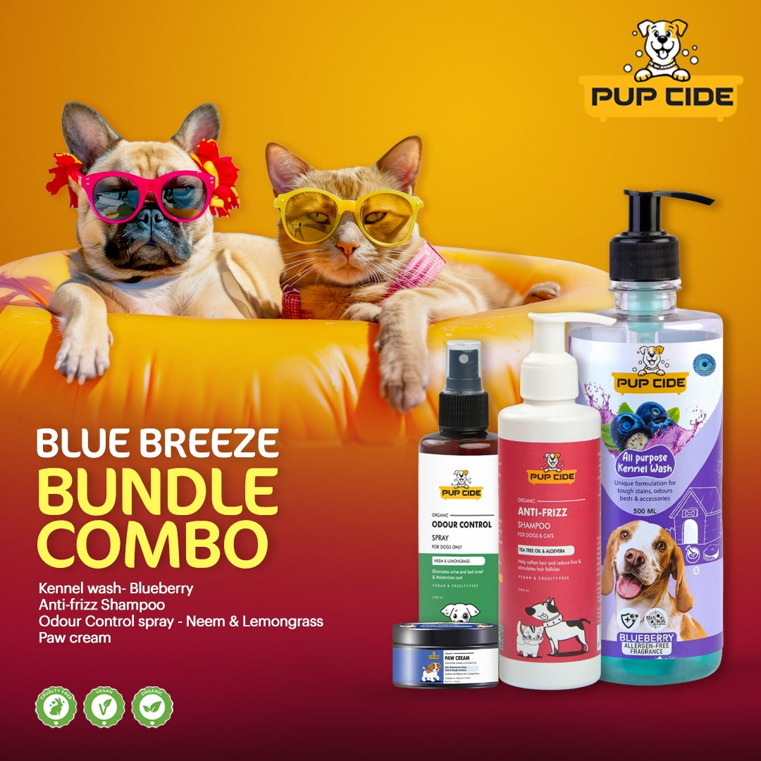 Blue Breeze Bundle Combo