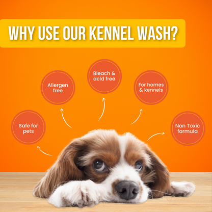 All-purpose Kennel Wash - Orange