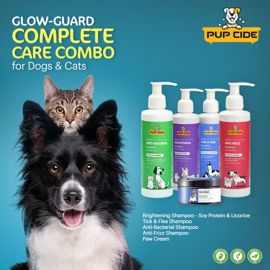 Glow Guard Complete Care Combo for Dogs & Cats